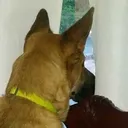 I_am_watching_YOU