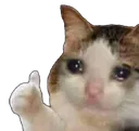 sadOK