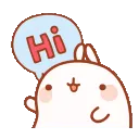 hi hi