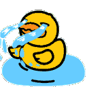 :cryingbirb: Discord Emote