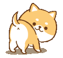 :corgibutt: Discord Emote