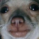 :ratdog: Discord Emote