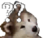 :confuseddoggo: Discord Emote
