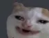 scrunge