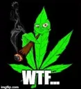 wtf