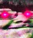 SuperCURSED