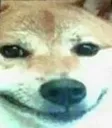 Smileboye