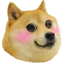 dogeBaka