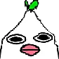 radStare radStare
