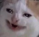 hh