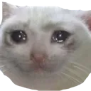 sad sad
