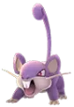 Rattata