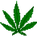 SpinWeed