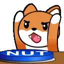 Nutt