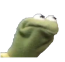 :KermitWot: Discord Emote