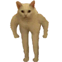 :SmallCatStand: Discord Emote