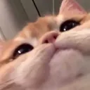 Catastrophe_ohhi