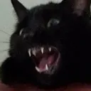 Catastrophe_grrr Catastrophe_grrr