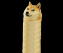 canudont canudont