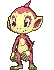 chimcharshiny