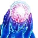 bigbrain