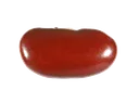 BestBean