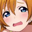 honk_cry