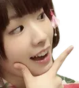 naruhodopigii
