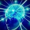 brain