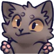 cat_shrug