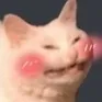 uwu uwu