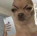 angery angery