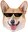 CorgiMLG