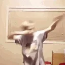 dab
