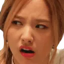 bonadisgust