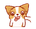 PokeTheCorgi Discord Emoji