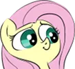 flutterwhut