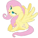 flutterscratch