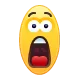 shcok shcok