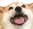 happi