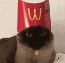 Catastrophe_McCat