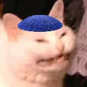 meownsch Discord Emoji