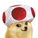 toaddoge toaddoge