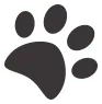paw