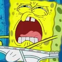 SpongeNut