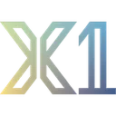 x1