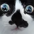 jackto2Ptsd jackto2Ptsd