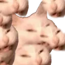 echswarm