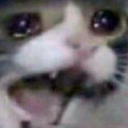 :yameroooo: Discord Emote