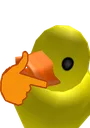 duckthinking